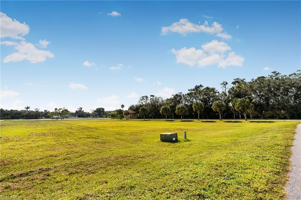 17109 Serengeti CIR-22
