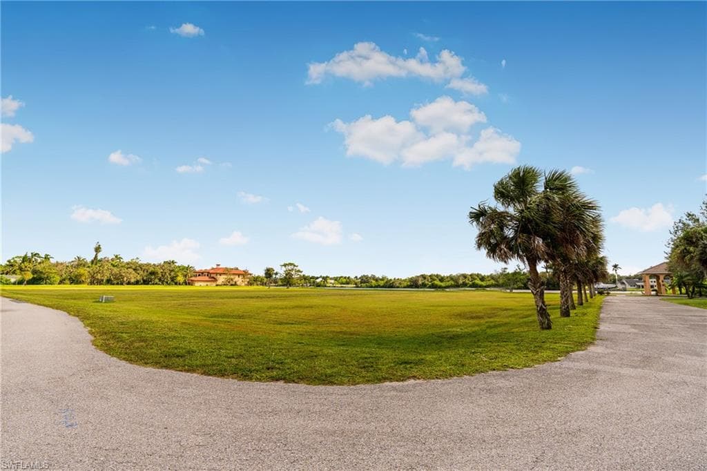 17109 Serengeti CIR-24