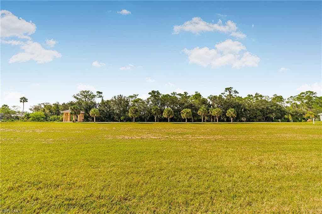 17109 Serengeti CIR-25
