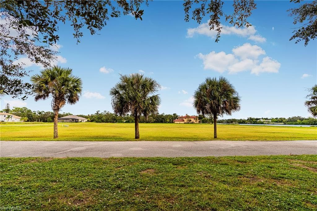 17109 Serengeti CIR-21