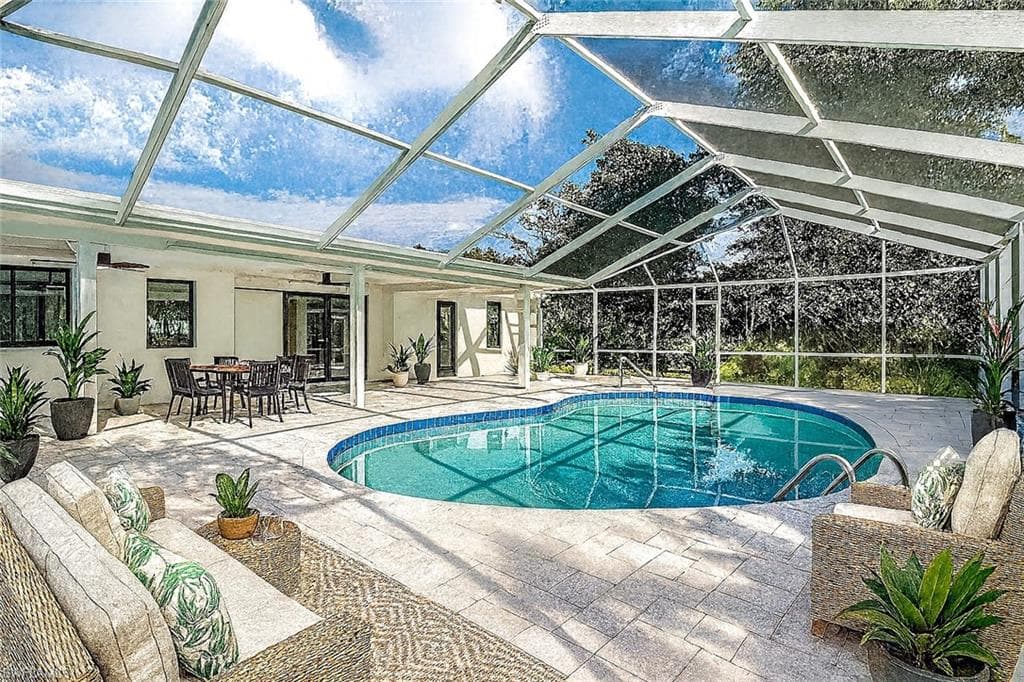 658 Donax ST-31
