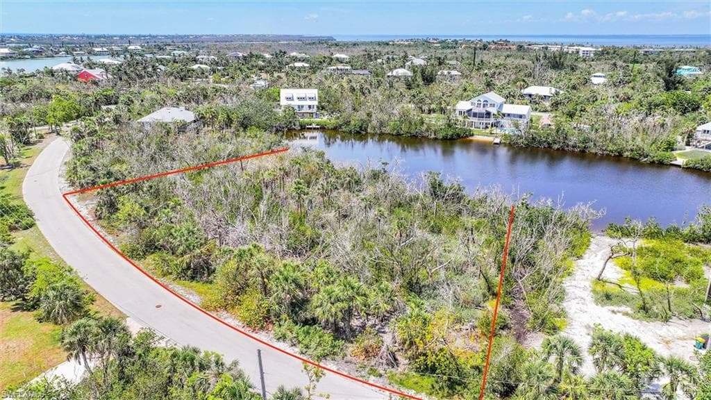 2442 Blue Crab CT-2