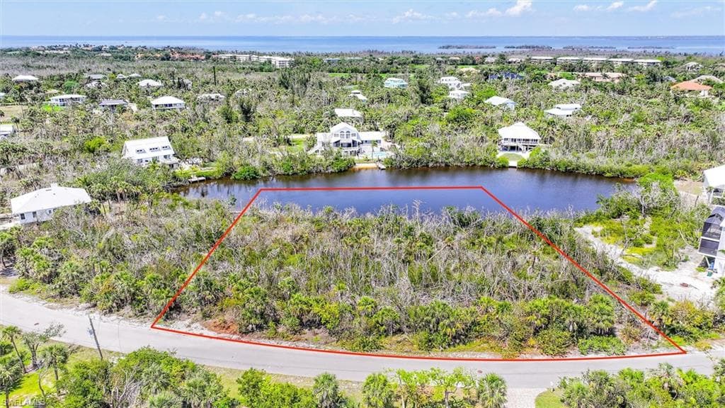 2442 Blue Crab CT-3