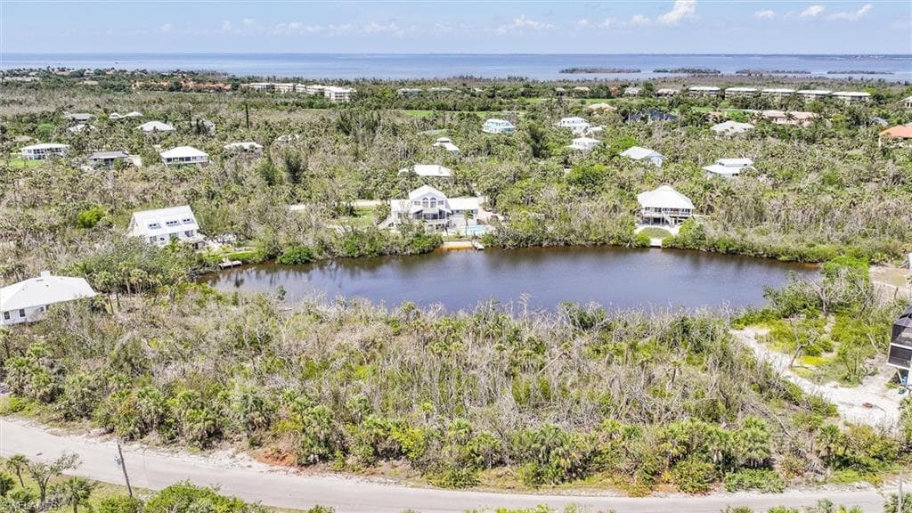 2442 Blue Crab CT-5