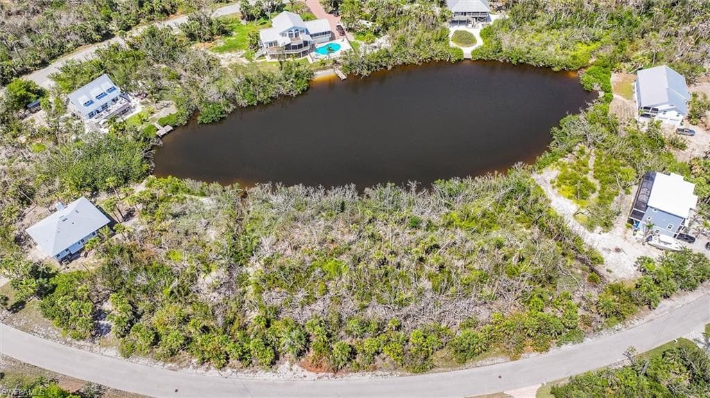 2442 Blue Crab CT-18