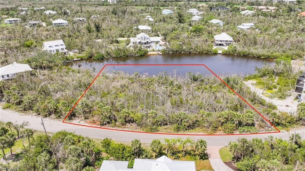 2442 Blue Crab CT-4