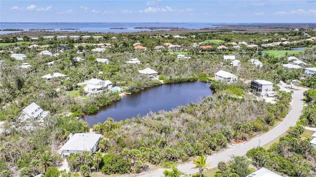 2442 Blue Crab CT-8