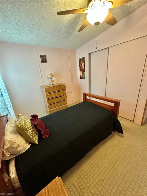 3165 Bunny Run DR-31
