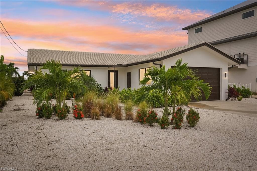 268 Ibis ST-38