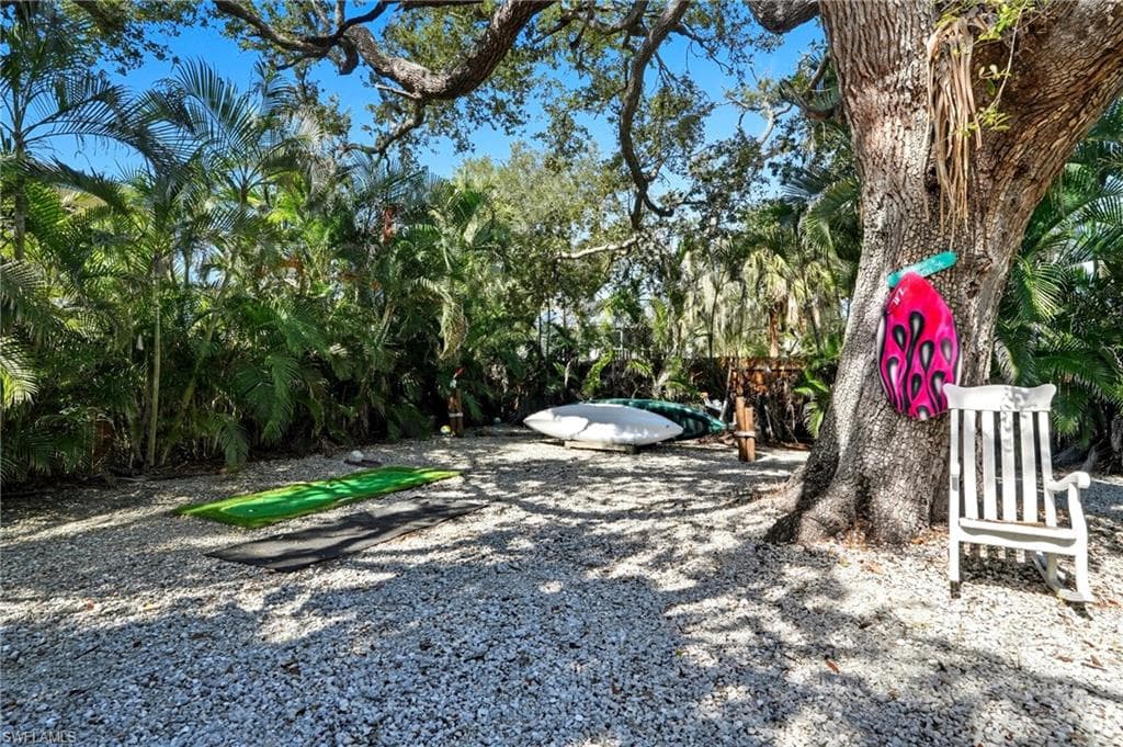 167 Coconut DR-20