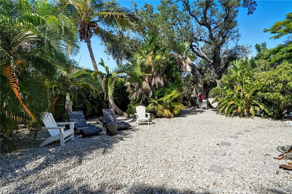 167 Coconut DR-29