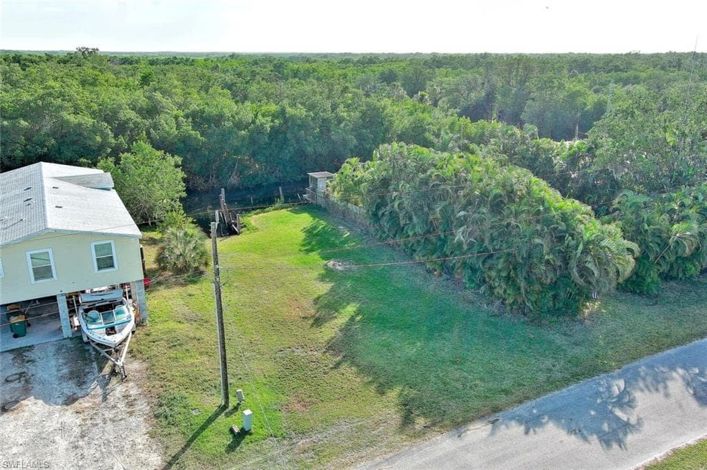 6 Spoonbill AVE-2