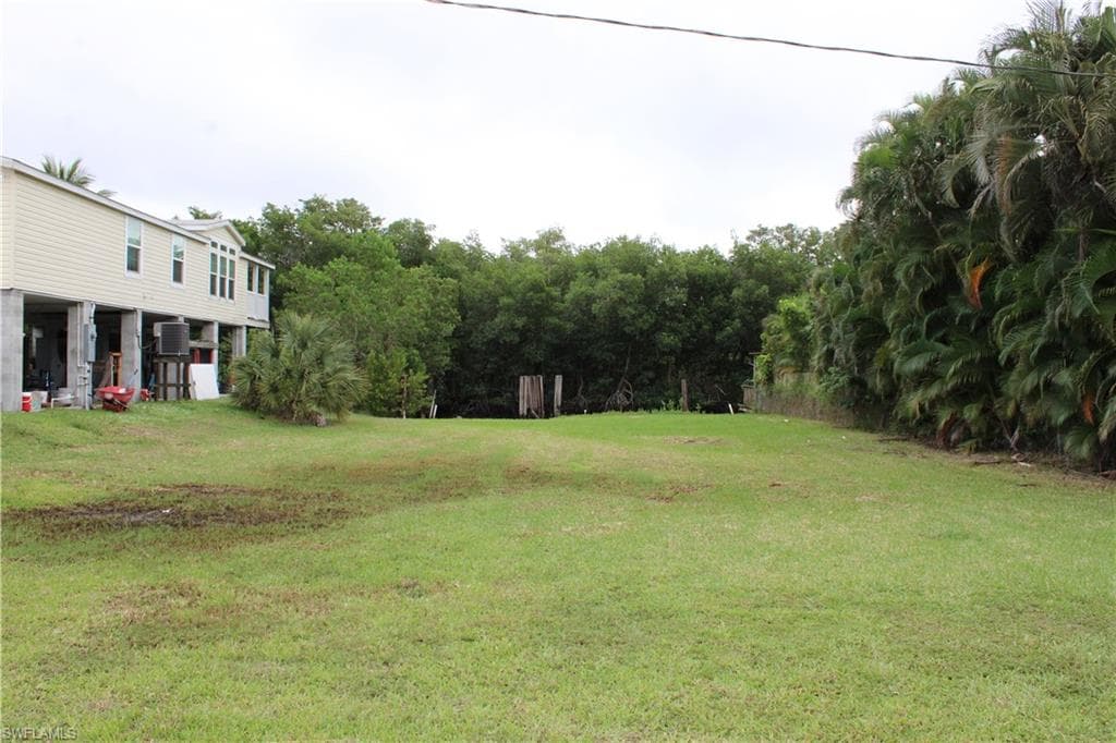 6 Spoonbill AVE-6