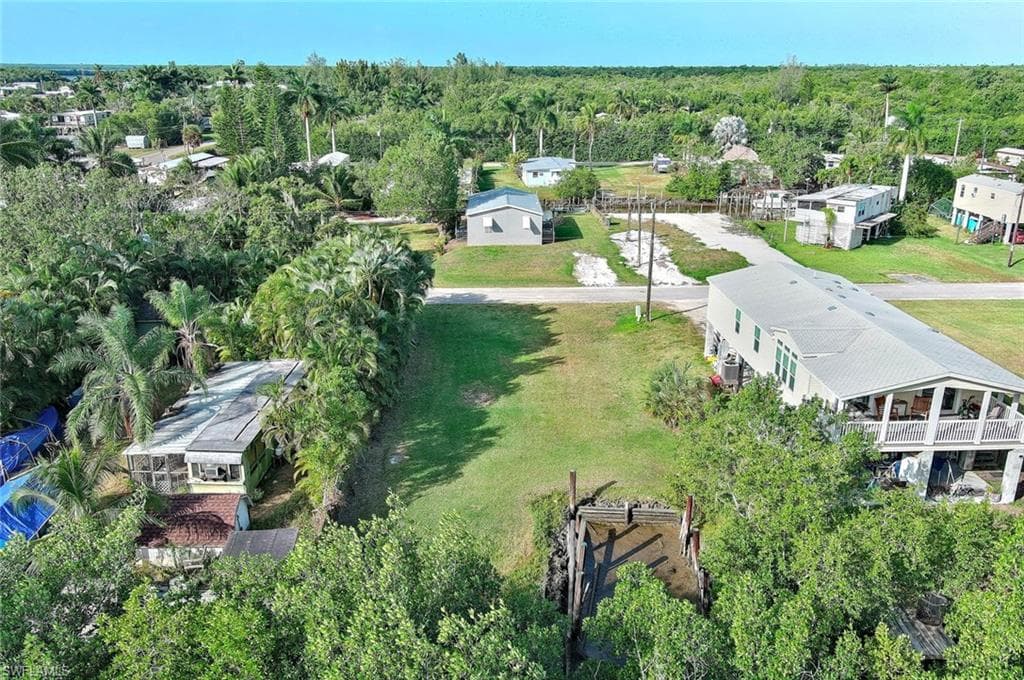 6 Spoonbill AVE-13