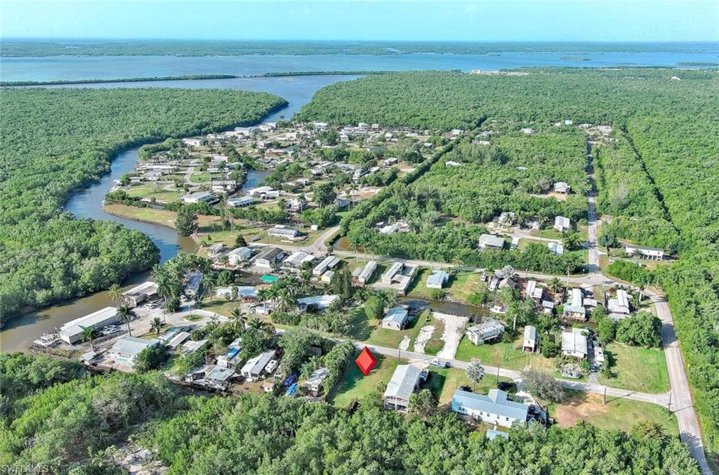 6 Spoonbill AVE-3