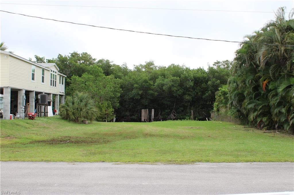 6 Spoonbill AVE-5