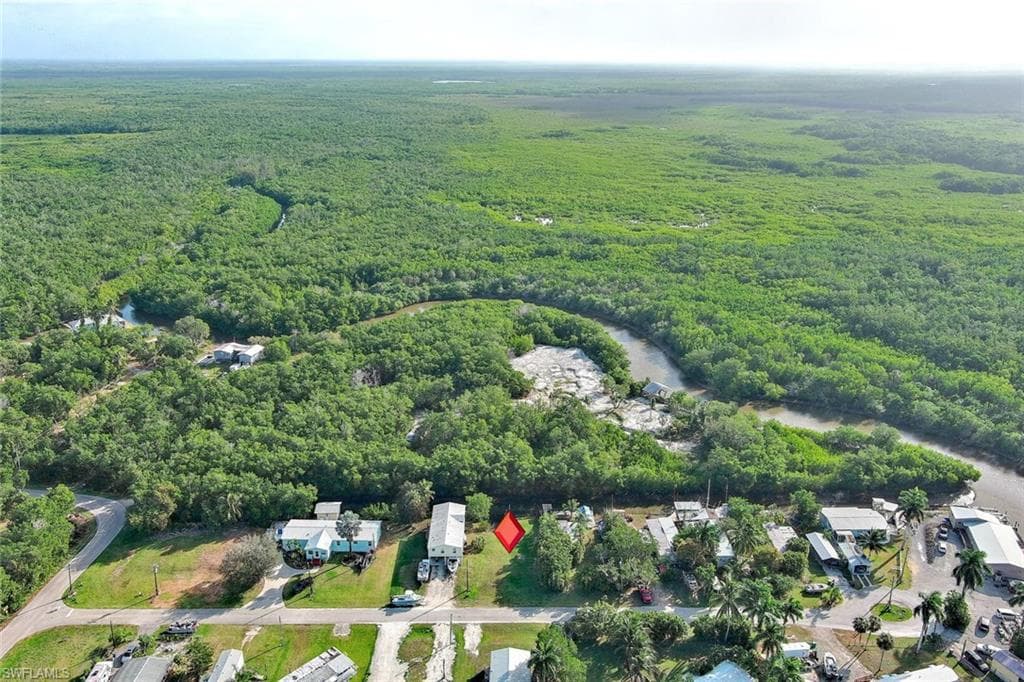 6 Spoonbill AVE-14