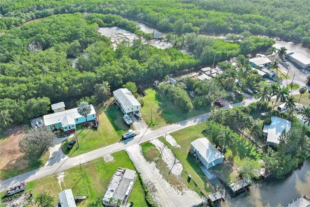 6 Spoonbill AVE-15