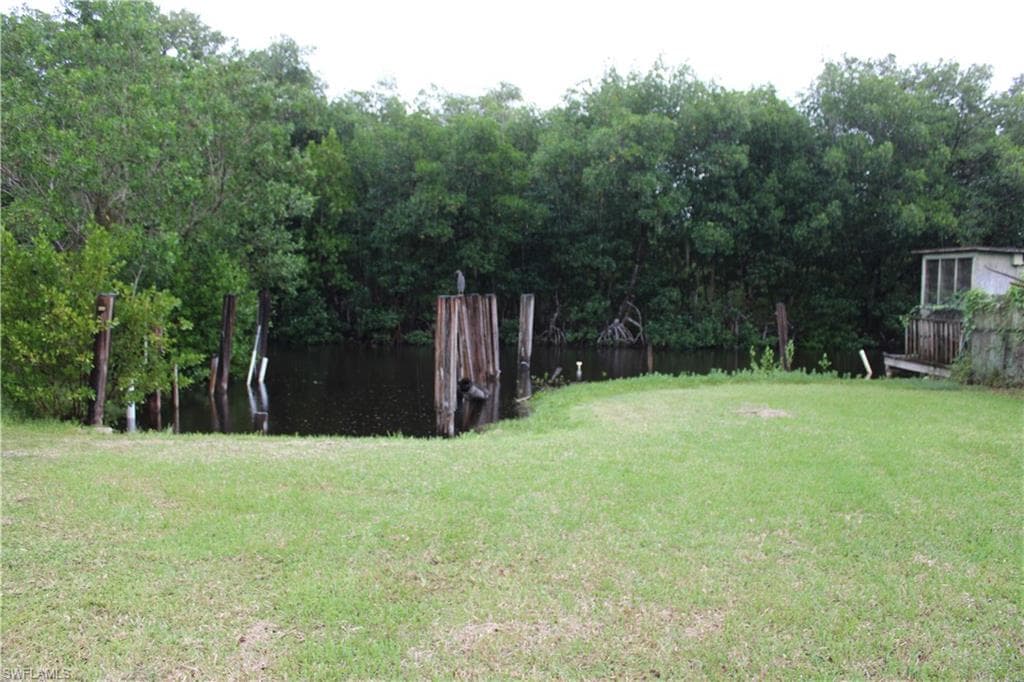 6 Spoonbill AVE-4