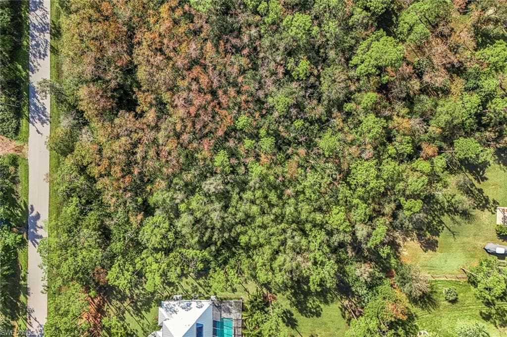 24742 Claire ST-10