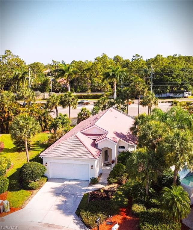 102 Palm Frond CT-1