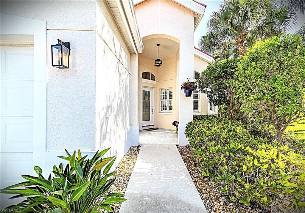 102 Palm Frond CT-5