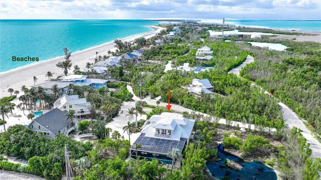 1124 Longifolia CT-47