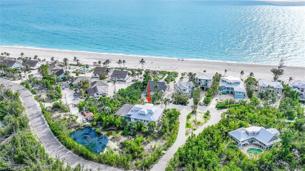 1124 Longifolia CT-43