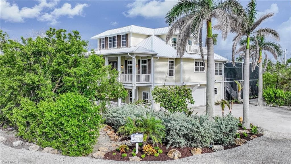 1124 Longifolia CT-1