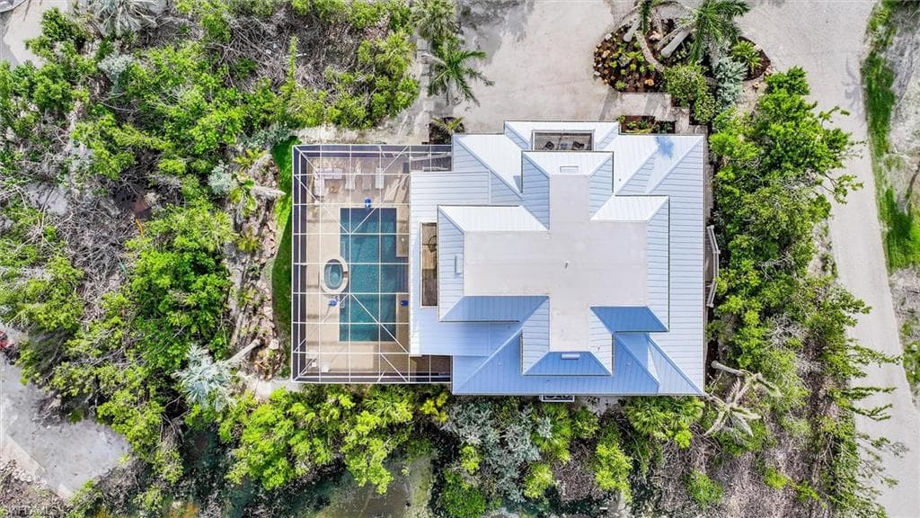 1124 Longifolia CT-45