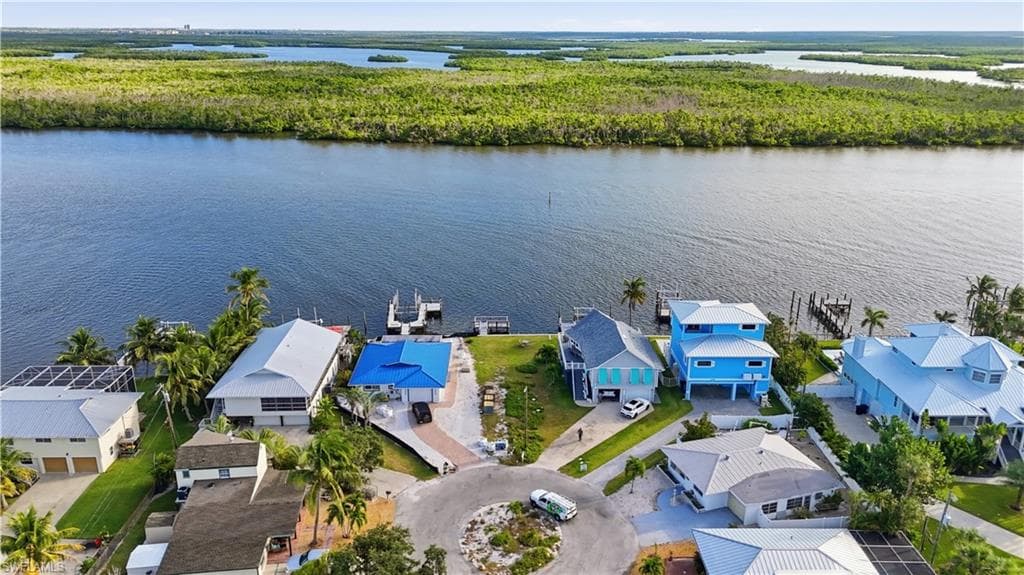 101 Hibiscus DR-12
