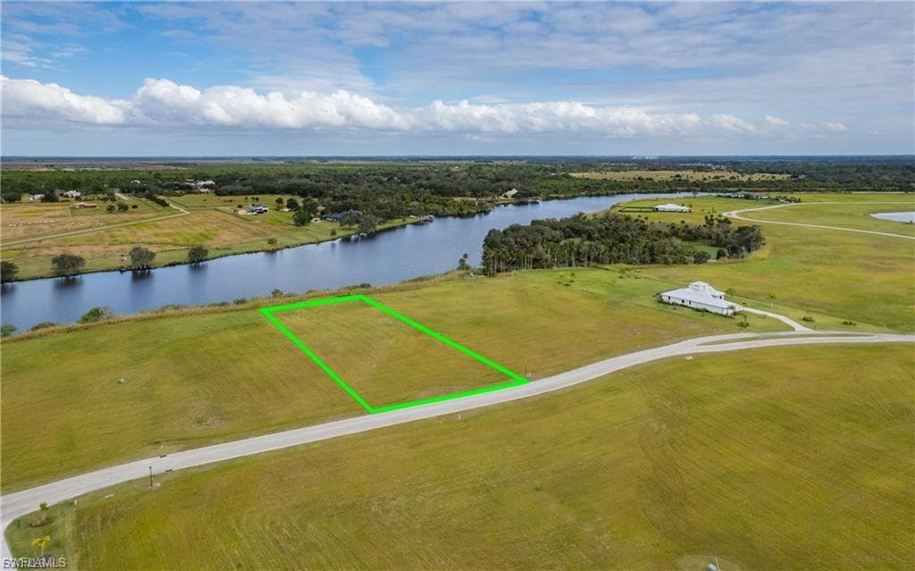 22797 Yellow Button LN-6