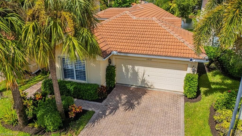 1630 Triangle Palm TER-2