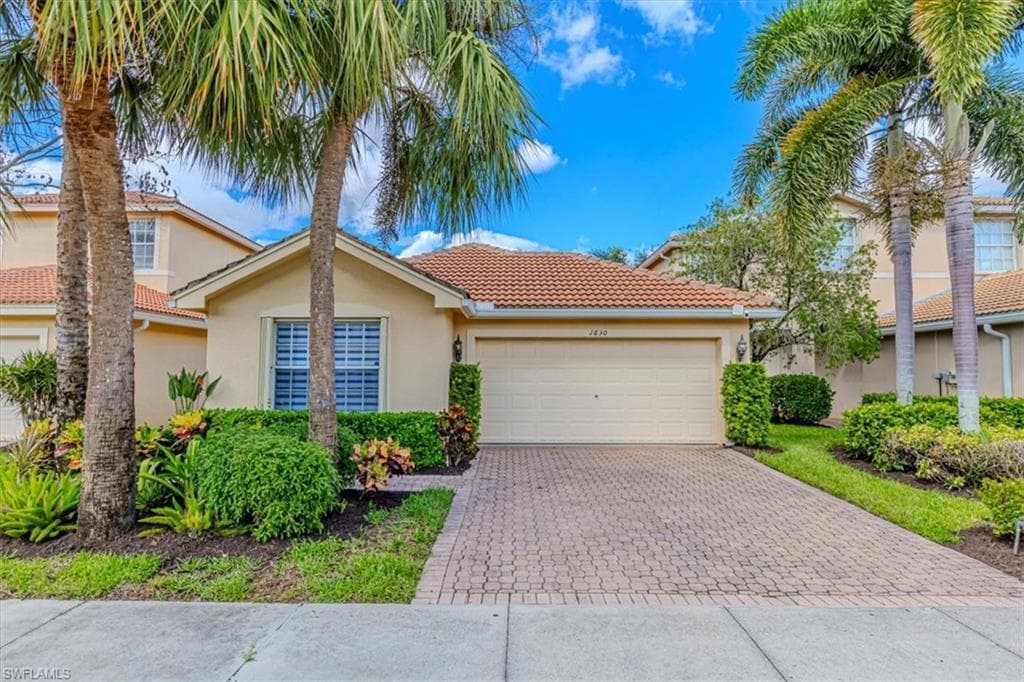 1630 Triangle Palm TER-1