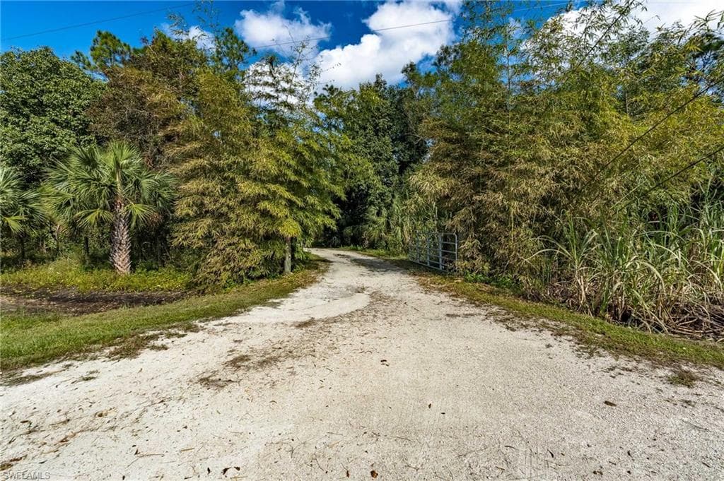 1065 Sanctuary RD-16