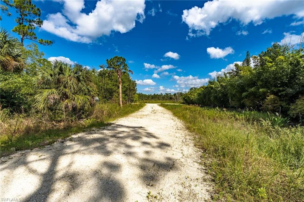 1065 Sanctuary RD-19