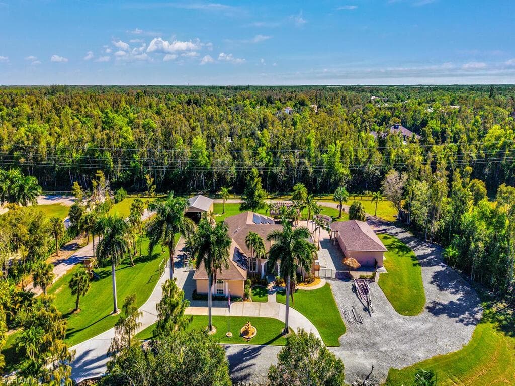 6480 Pine Cone CT-6