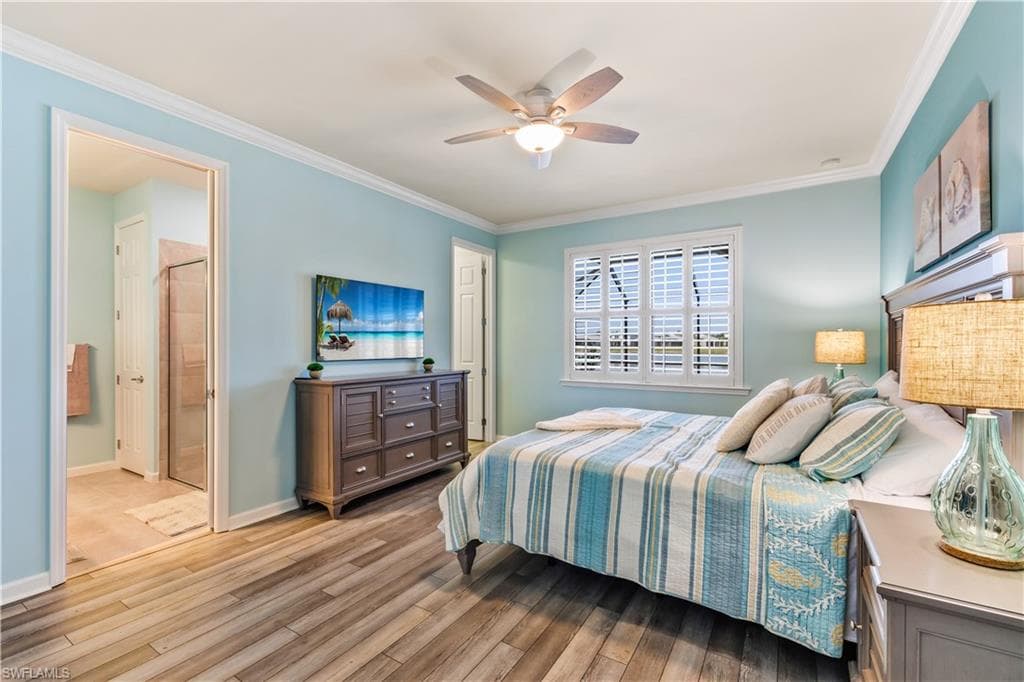 4732 Imperial Eagle DR-13