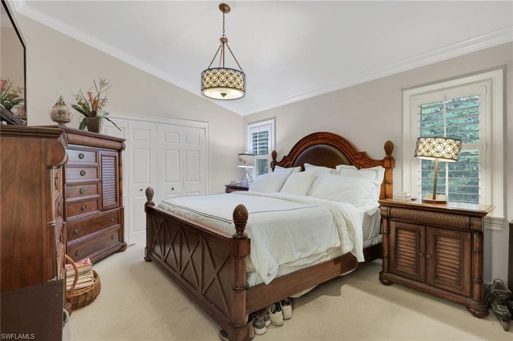 431 Ibis WAY-28