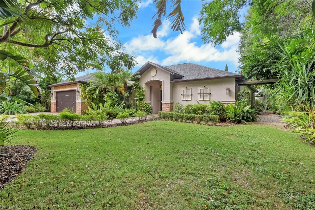 431 Ibis WAY-5