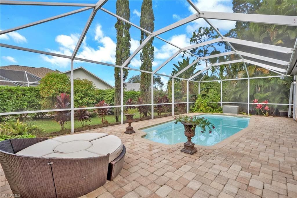431 Ibis WAY-34