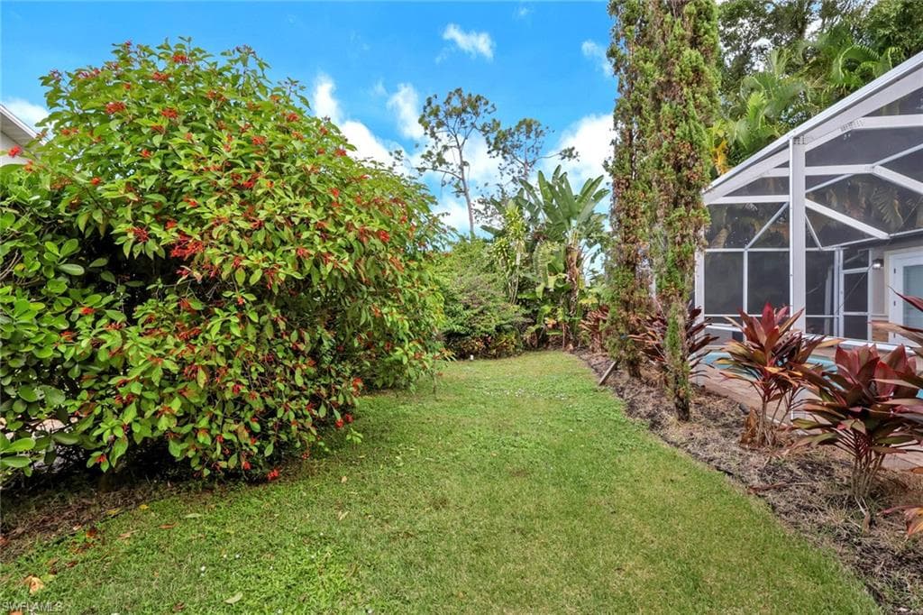 431 Ibis WAY-37