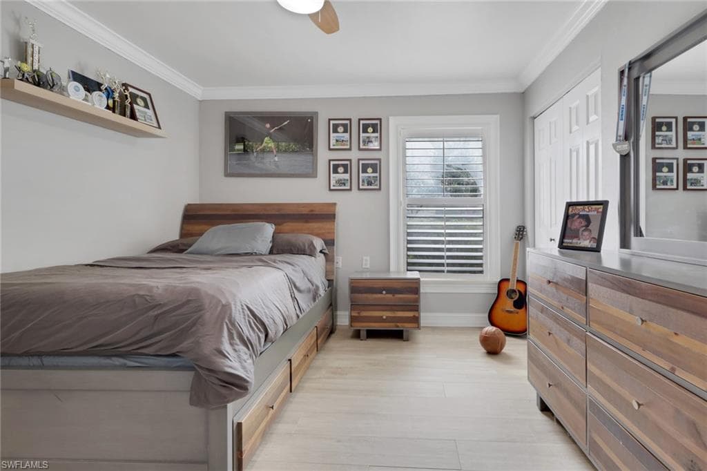 431 Ibis WAY-25
