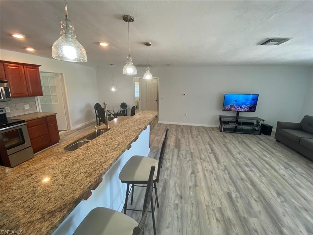 22 Constitution DR-22