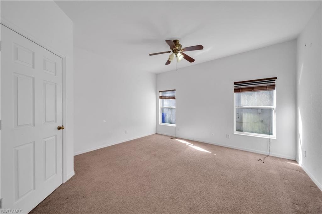8125 Silver Birch WAY-25