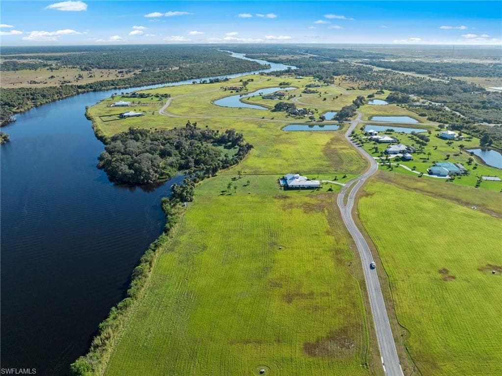 22821 Yellow Button LN-1