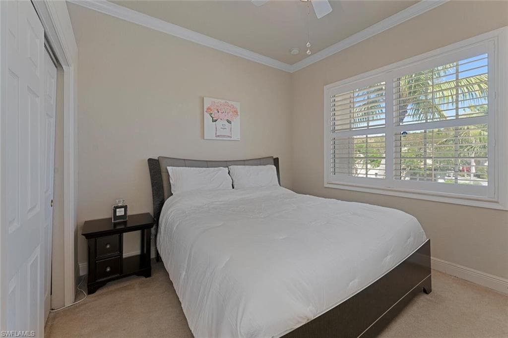 5769 Mango CIR-10