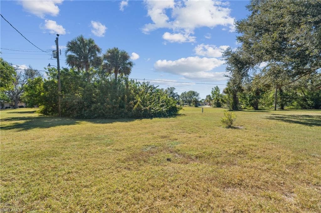 235 Thistle CT-31