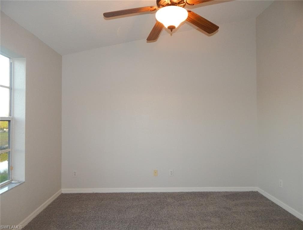 1334 Weeping Willow CT-12