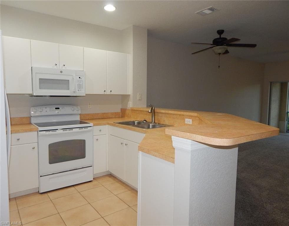 1334 Weeping Willow CT-7